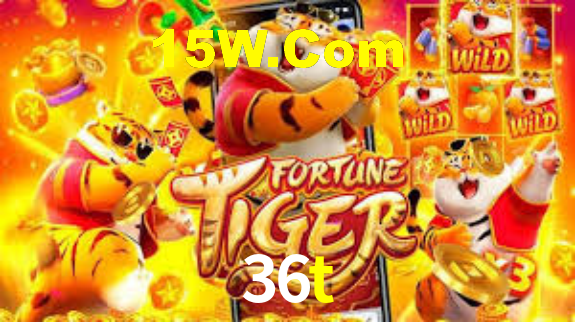 Premium Interface 36t